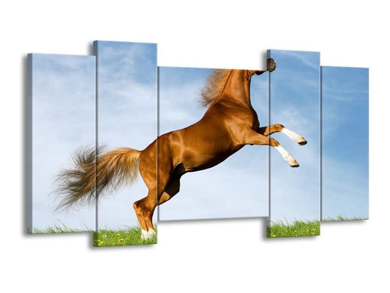 Canvas schilderij Paard | Bruin, Blauw, Wit | 120x65 5Luik