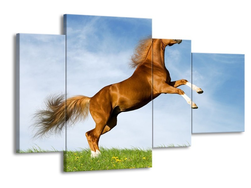 Canvas schilderij Paard | Bruin, Blauw, Wit | 120x75cm 4Luik