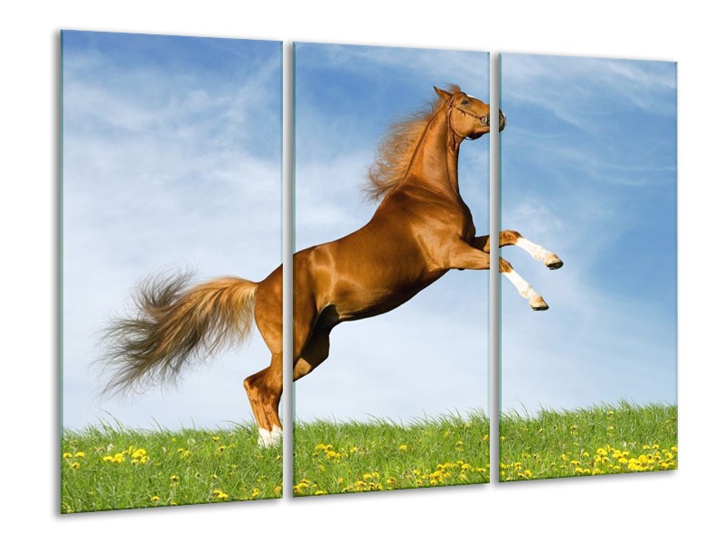 Canvas schilderij Paard | Bruin, Blauw, Wit | 120x80cm 3Luik