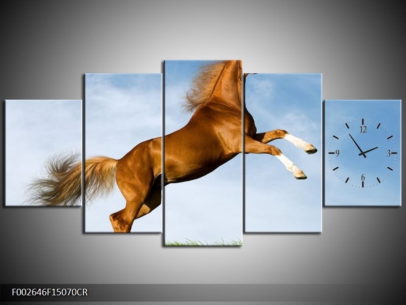Klok schilderij Paard | Bruin, Blauw, Wit | 150x70cm 5Luik