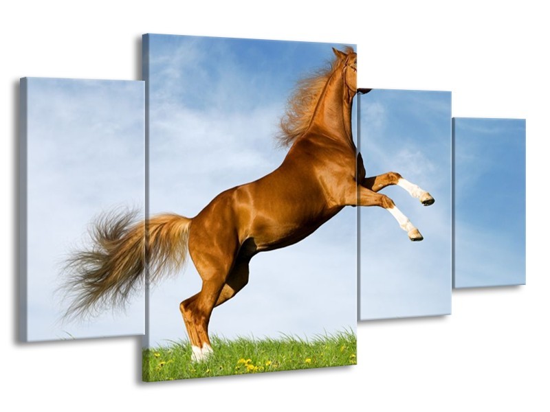 Glas schilderij Paard | Bruin, Blauw, Wit | 160x90cm 4Luik