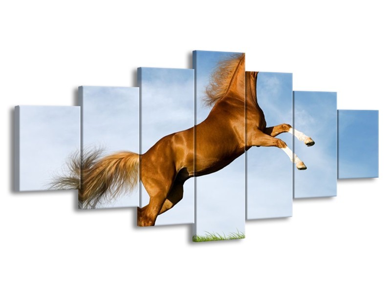 Canvas schilderij Paard | Bruin, Blauw, Wit | 210x100cm 7Luik