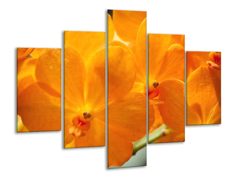 Canvas schilderij Orchidee | Oranje, Geel | 100x70cm 5Luik