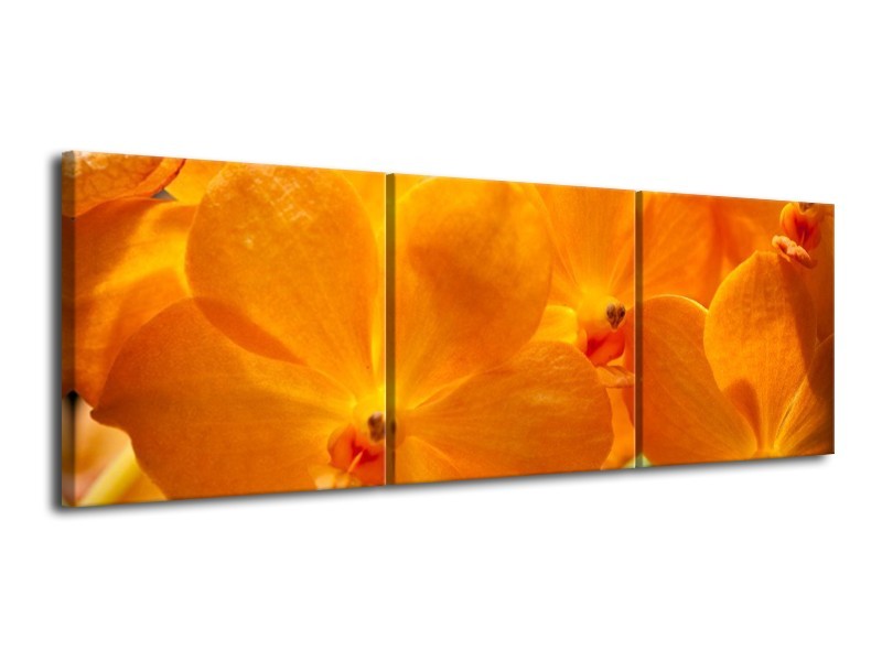 Canvas schilderij Orchidee | Oranje, Geel | 120x40cm 3Luik
