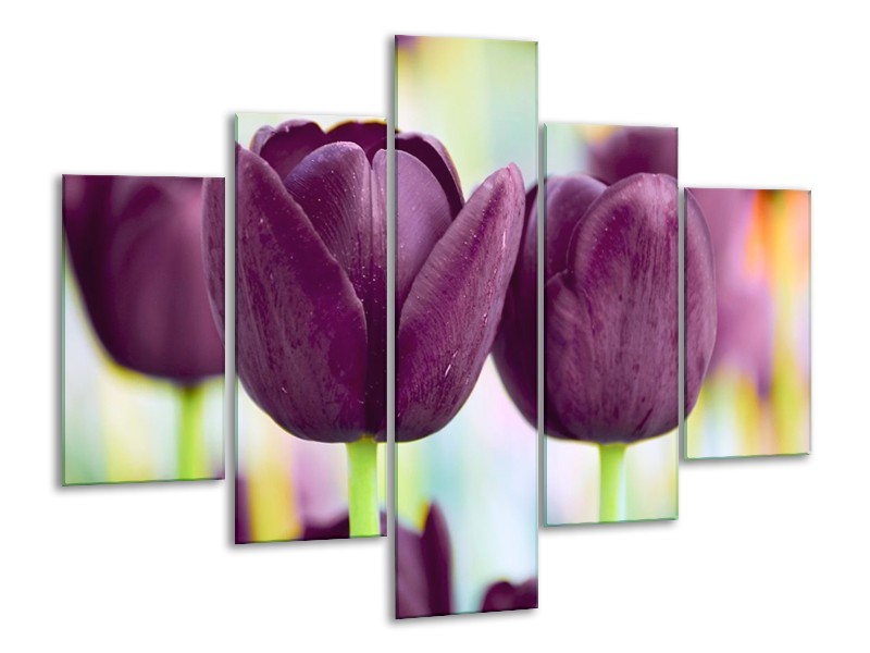 Canvas schilderij Tulp | Paars, Groen | 100x70cm 5Luik