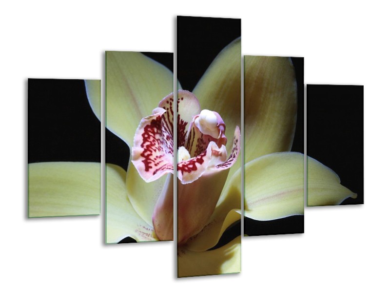 Canvas schilderij Bloem | Geel, Zwart, Groen | 100x70cm 5Luik