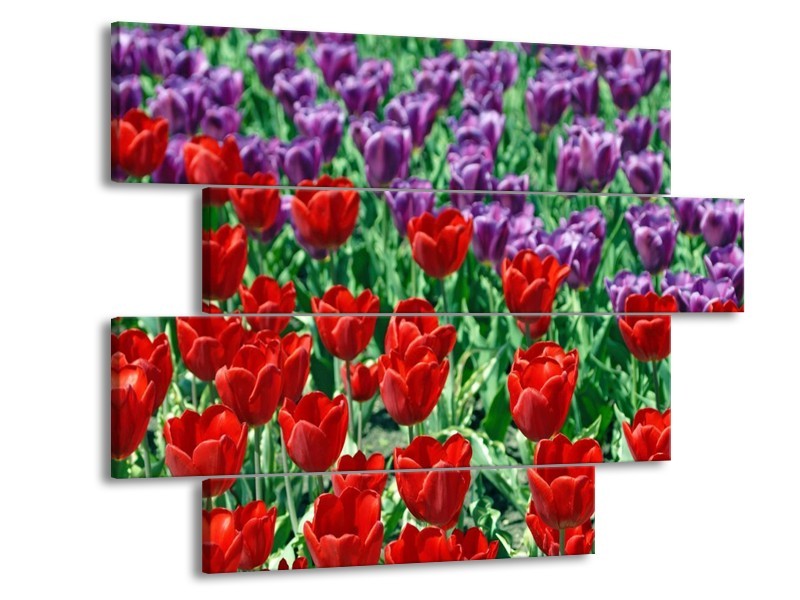 Canvas schilderij Tulp | Rood, Paars, Groen | 115x85cm 4Luik