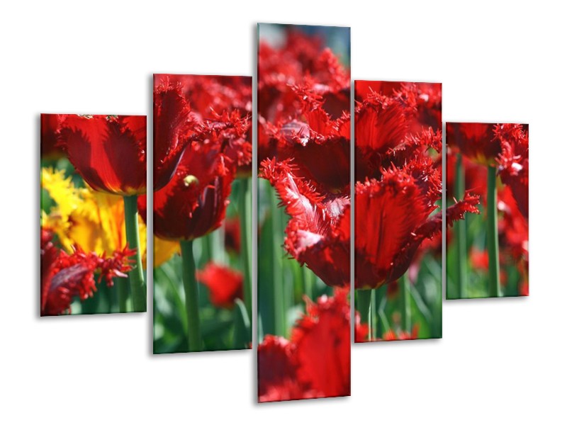 Canvas schilderij Tulp | Rood, Groen, Geel | 100x70cm 5Luik