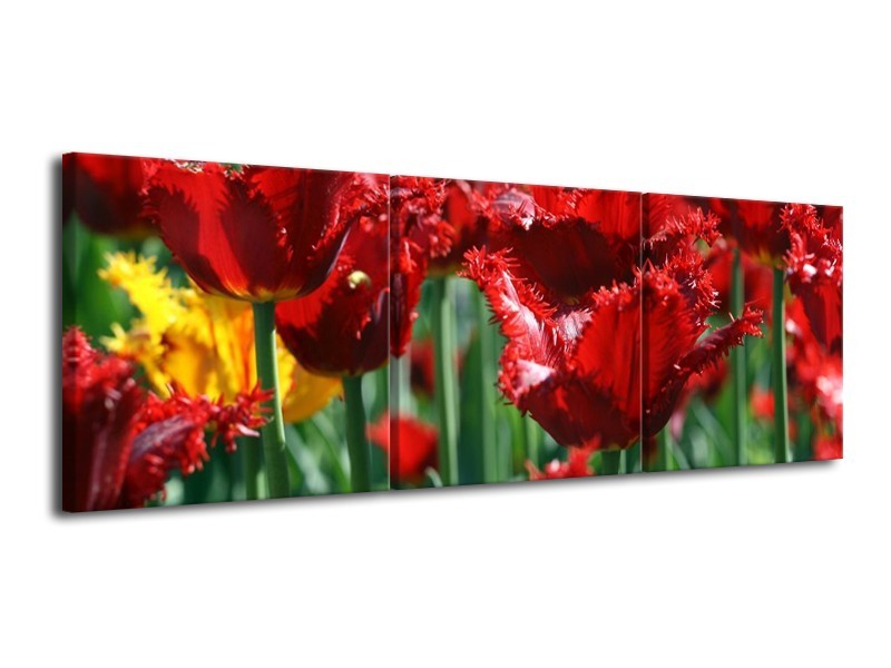 Canvas schilderij Tulp | Rood, Groen, Geel | 120x40cm 3Luik