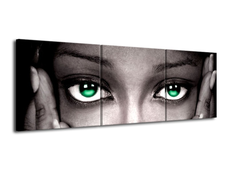 Canvas schilderij Ogen | Groen, Zwart, Grijs | 120x40cm 3Luik