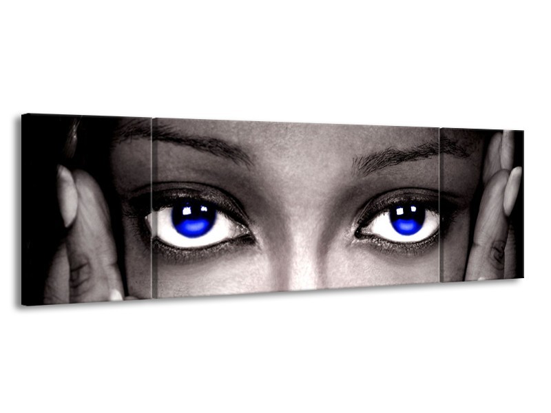 Canvas schilderij Ogen | Grijs, Zwart, Blauw | 170x50cm 3Luik