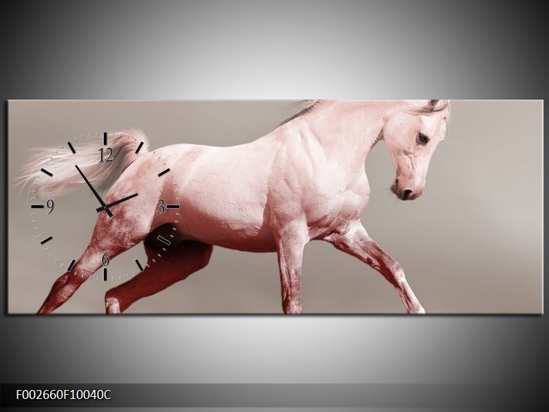 Klok schilderij Paard | Roze, Bruin, Grijs | 100x40cm 1Luik