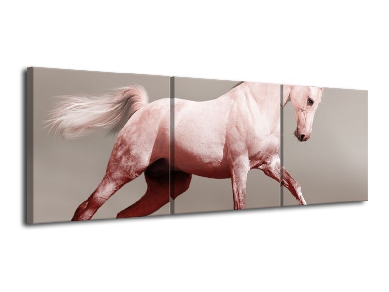 Canvas schilderij Paard | Roze, Bruin, Grijs | 120x40cm 3Luik