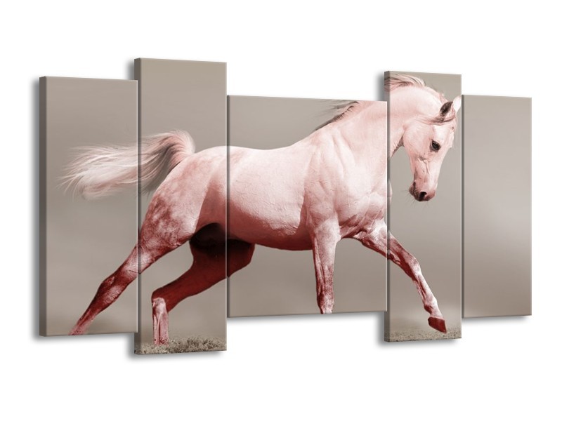 Glas schilderij Paard | Roze, Bruin, Grijs | 120x65cm 5Luik