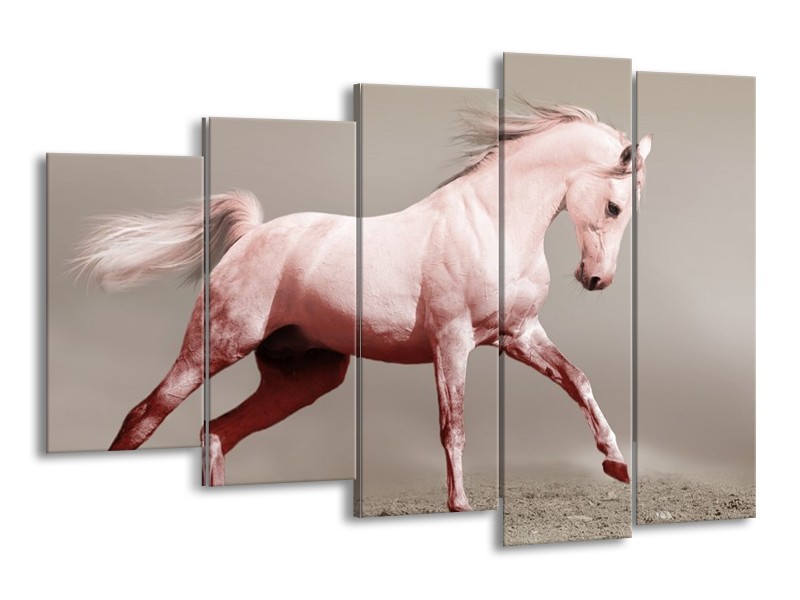 Canvas schilderij Paard | Roze, Bruin, Grijs | 150x100cm 5Luik