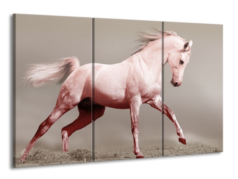 Canvas schilderij Paard | Roze, Bruin, Grijs | 165x100cm 3Luik