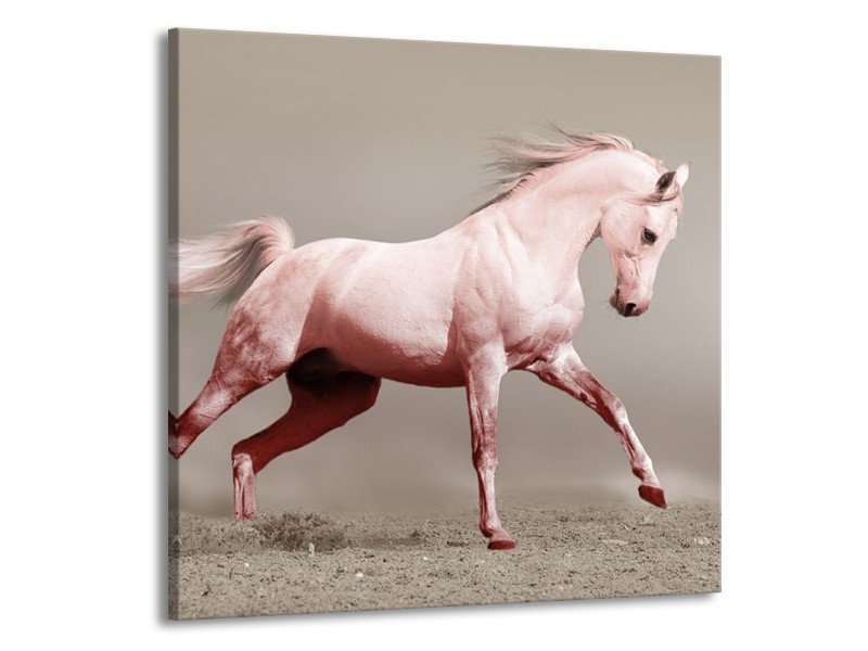 Canvas schilderij Paard | Roze, Bruin, Grijs | 50x50cm 1Luik
