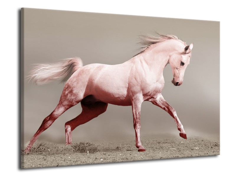 Canvas schilderij Paard | Roze, Bruin, Grijs | 70x50cm 1Luik