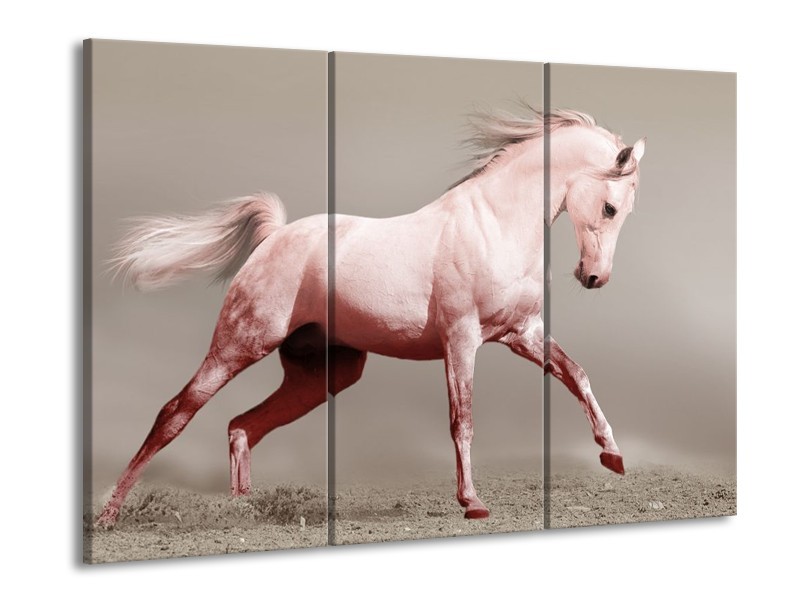 Canvas schilderij Paard | Roze, Bruin, Grijs | 90x60cm 3Luik