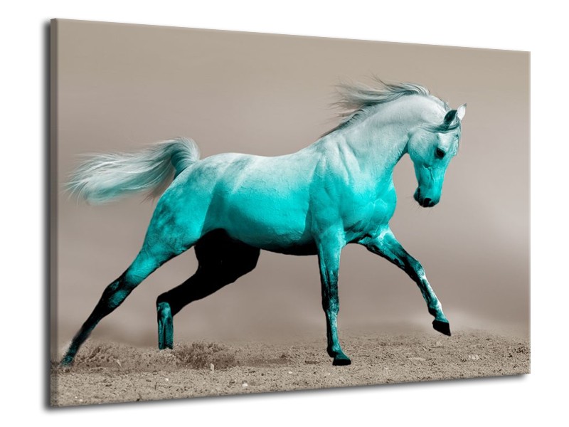 Canvas schilderij Paard | Groen, Grijs | 70x50cm 1Luik