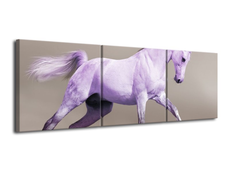 Canvas schilderij Paard | Paars, Grijs | 120x40cm 3Luik