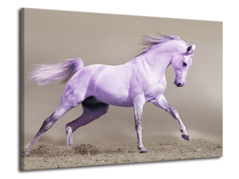 Canvas schilderij Paard | Paars, Grijs | 70x50cm 1Luik