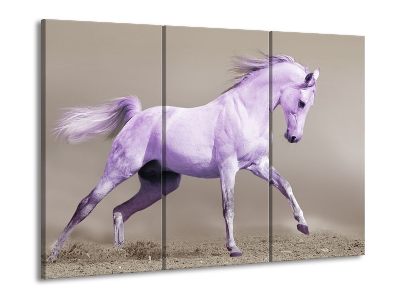 Canvas schilderij Paard | Paars, Grijs | 90x60cm 3Luik