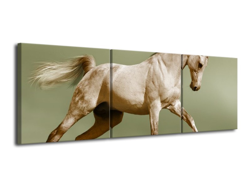 Glas schilderij Paard | Groen, Bruin | 120x40cm 3Luik