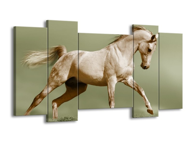 Glas schilderij Paard | Groen, Bruin | 120x65cm 5Luik