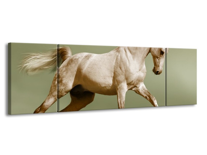 Canvas schilderij Paard | Groen, Bruin | 170x50cm 3Luik