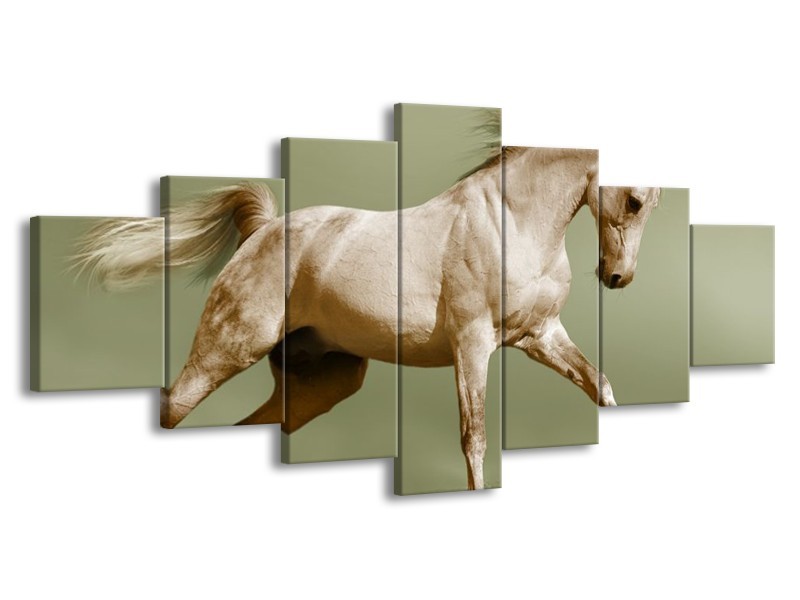 Canvas schilderij Paard | Groen, Bruin | 210x100cm 7Luik