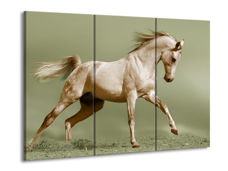 Canvas schilderij Paard | Groen, Bruin | 90x60cm 3Luik