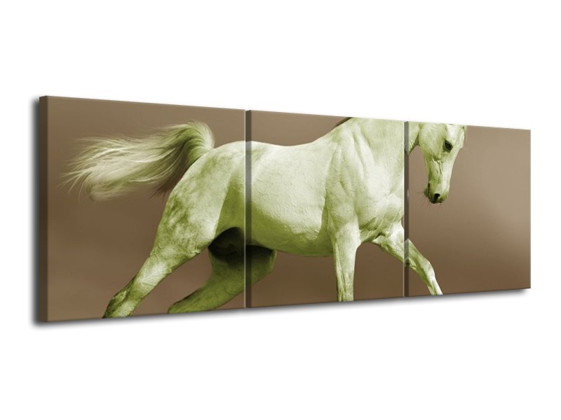 Canvas schilderij Paard | Groen, Bruin | 120x40cm 3Luik