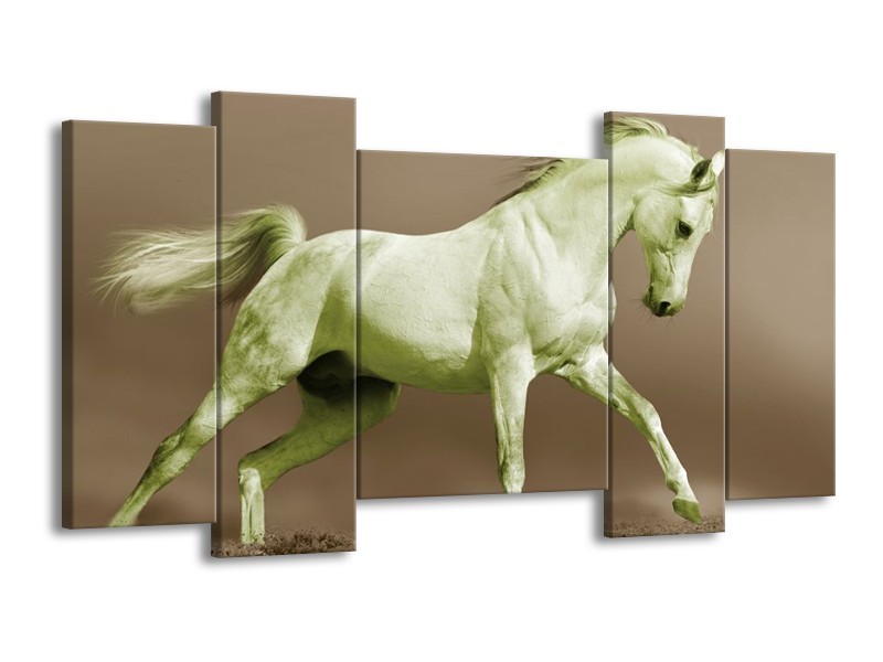 Glas schilderij Paard | Groen, Bruin | 120x65cm 5Luik