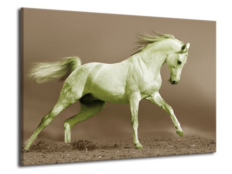Canvas schilderij Paard | Groen, Bruin | 70x50cm 1Luik