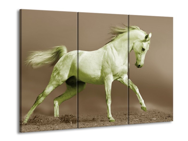 Canvas schilderij Paard | Groen, Bruin | 90x60cm 3Luik