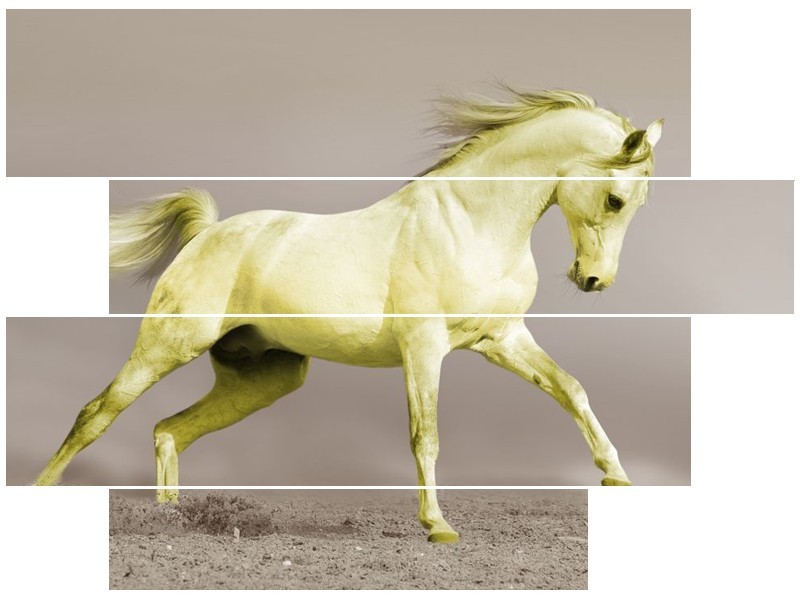 Glas schilderij Paard | Groen, Grijs | 115x85cm 4Luik