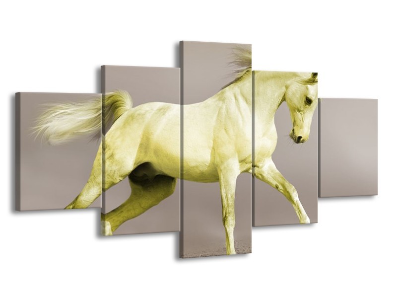 Canvas schilderij Paard | Groen, Grijs | 150x80cm 5Luik