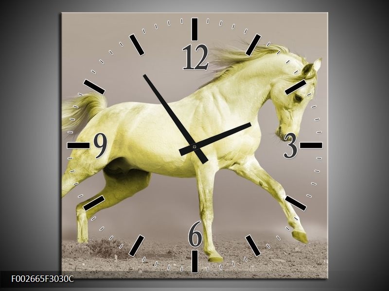 Klok schilderij Paard | Groen, Grijs | 30x30cm 1Luik