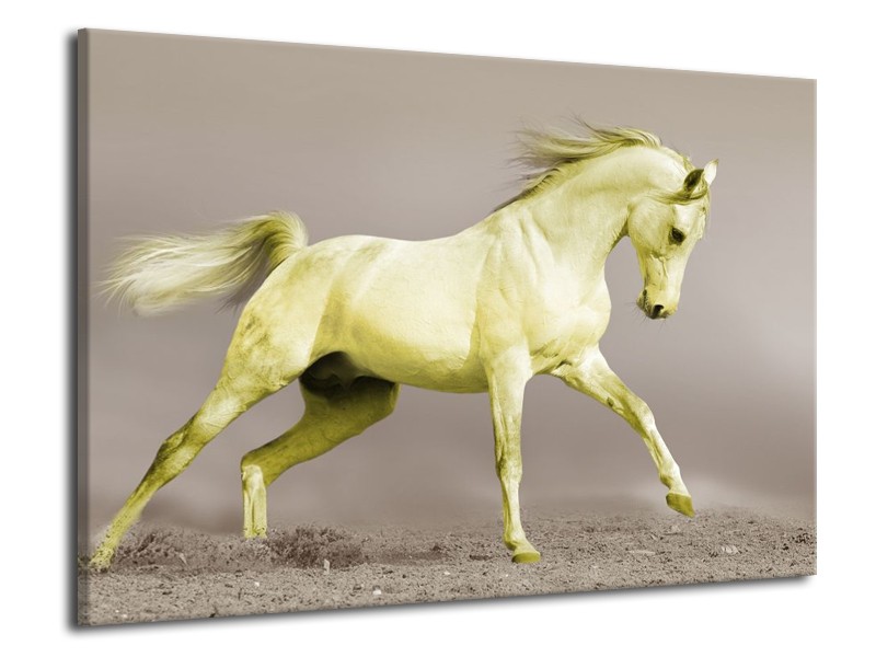 Canvas schilderij Paard | Groen, Grijs | 70x50cm 1Luik