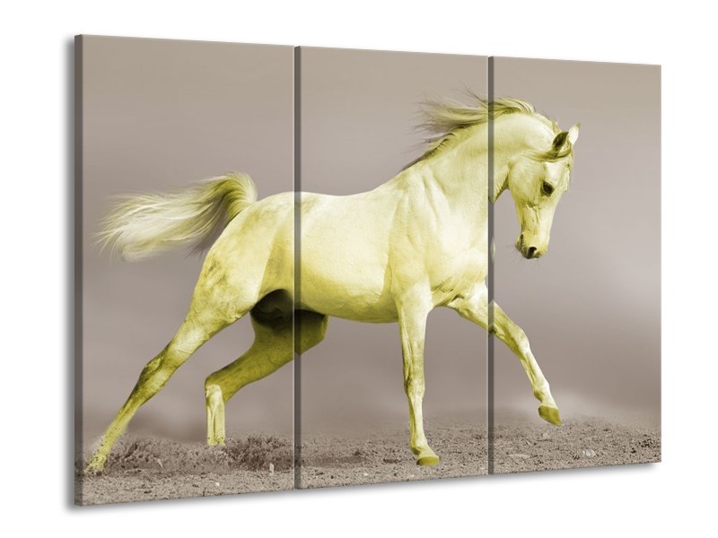 Canvas schilderij Paard | Groen, Grijs | 90x60cm 3Luik