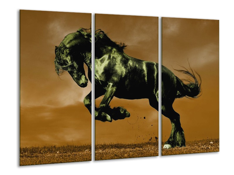Canvas schilderij Paard | Bruin, Groen, Zwart | 120x80cm 3Luik