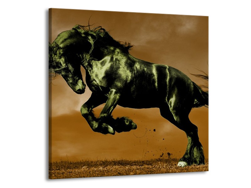 Canvas schilderij Paard | Bruin, Groen, Zwart | 50x50cm 1Luik