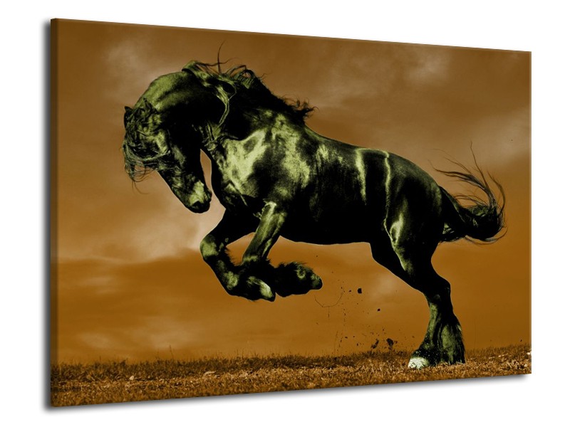 Canvas schilderij Paard | Bruin, Groen, Zwart | 70x50cm 1Luik