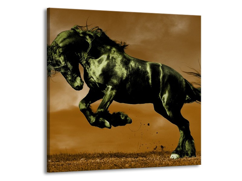 Canvas schilderij Paard | Bruin, Groen, Zwart | 70x70cm 1Luik