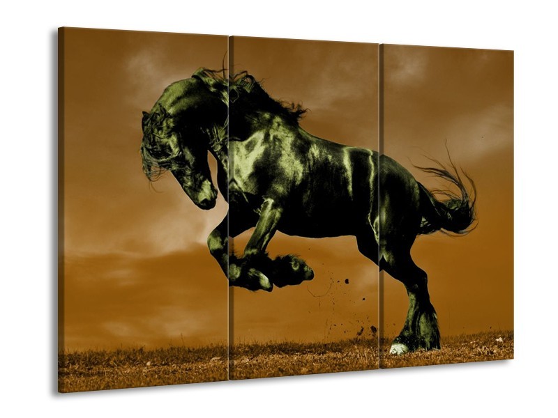 Canvas schilderij Paard | Bruin, Groen, Zwart | 90x60cm 3Luik