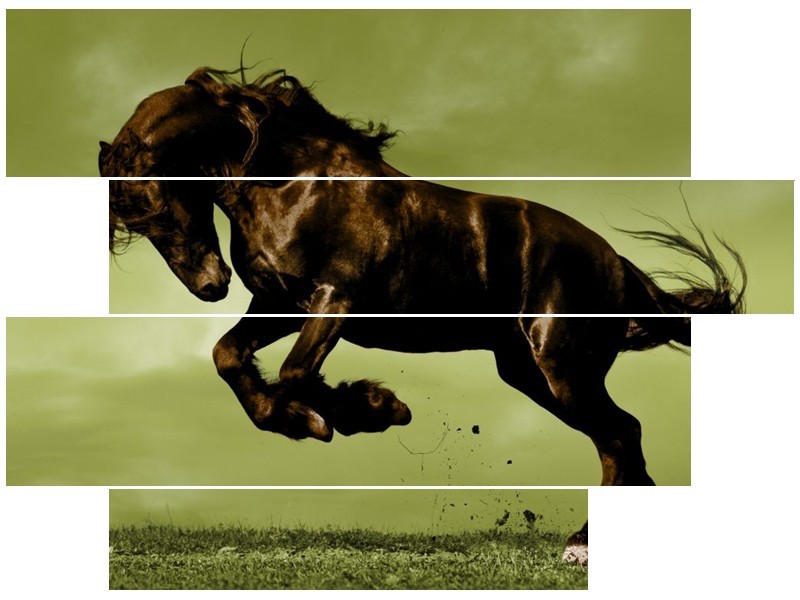 Glas schilderij Paard | Bruin, Groen, Zwart | 115x85cm 4Luik