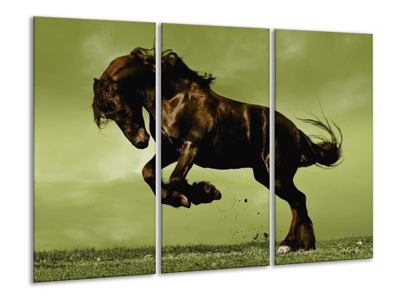 Canvas schilderij Paard | Bruin, Groen, Zwart | 120x80cm 3Luik