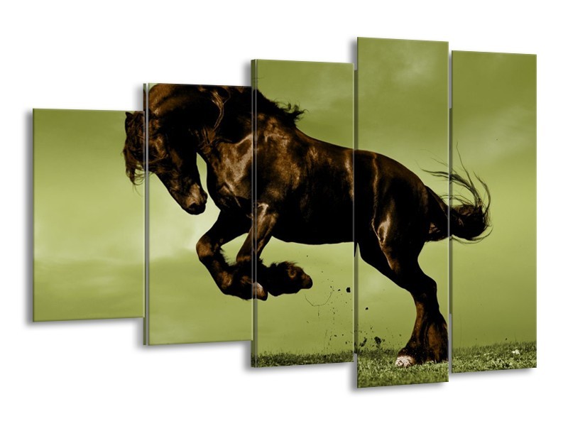 Canvas schilderij Paard | Bruin, Groen, Zwart | 150x100cm 5Luik