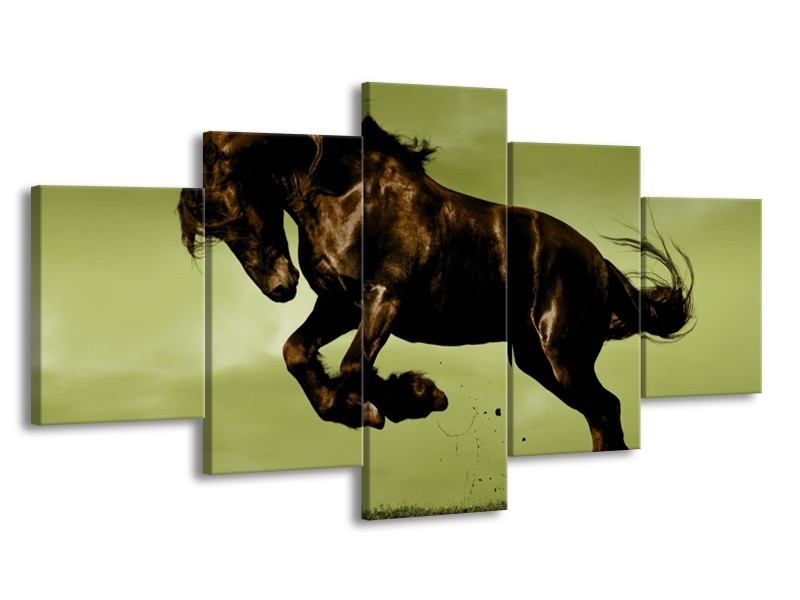 Canvas schilderij Paard | Bruin, Groen, Zwart | 150x80cm 5Luik